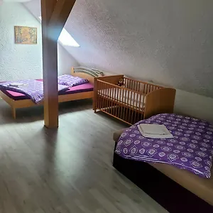 Apartment Fewo Im Gasthof Forsthaus, Marktredwitz
